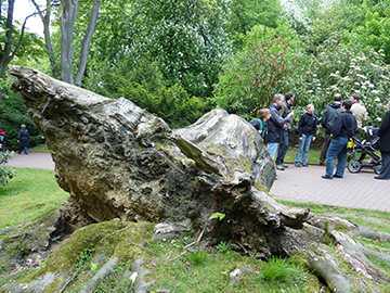 Exkursion 2010-05-16 Bochum Stadtpark