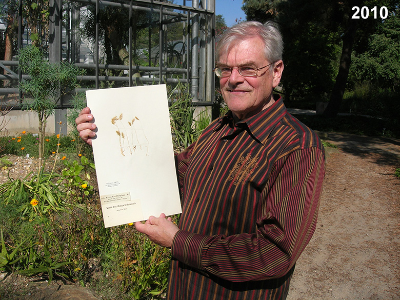 Bilder Henning Haeupler
