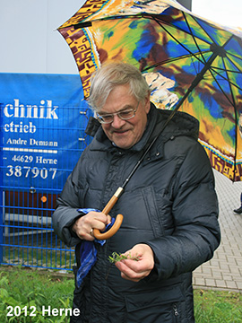 Bilder Henning Haeupler