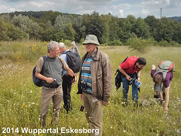Bilder Henning Haeupler