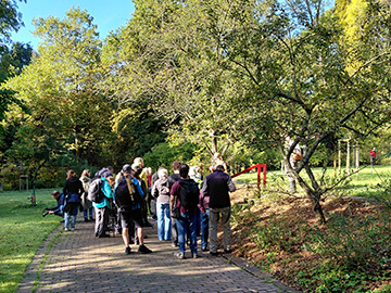 Exkursion 2026-10-04 BO BG Kalwes Pilze